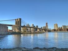 Brooklyn Bridge 19